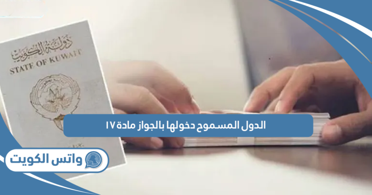 الدول المسموح دخولها بالجواز مادة ١٧