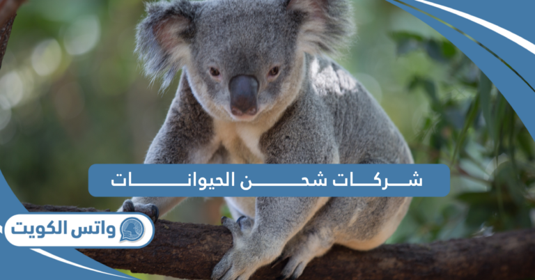 افضل شركات شحن الحيوانات في الكويت 2025